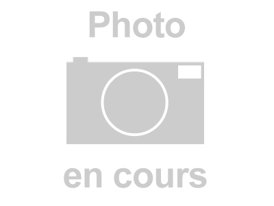 Chaîne de cheville Arbre de vie entourage, 253 cm, Or jaune 18k